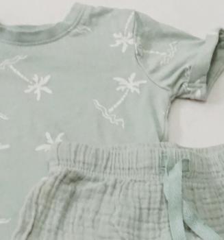 T-Shirt mit kurzer Hose Gr. 80 von Ergee (3979)